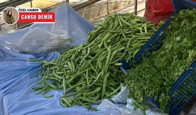 Kızılcahamam'da kurulan köy pazarlarına yoğun ilgi