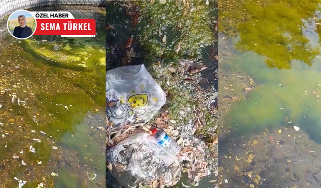 Kurtuluş Parkı'nda süs havuzu çöplüğe döndü!