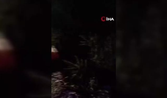 Mamak’ta otomobil Hatip Çayı’na uçtu!