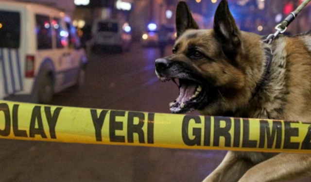 Mamak’ta sokak köpeklerine silahlı saldırı!