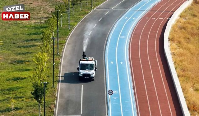 Sincan'da sivrisinekten geçilmiyor: ABB'den çözüm çalışması