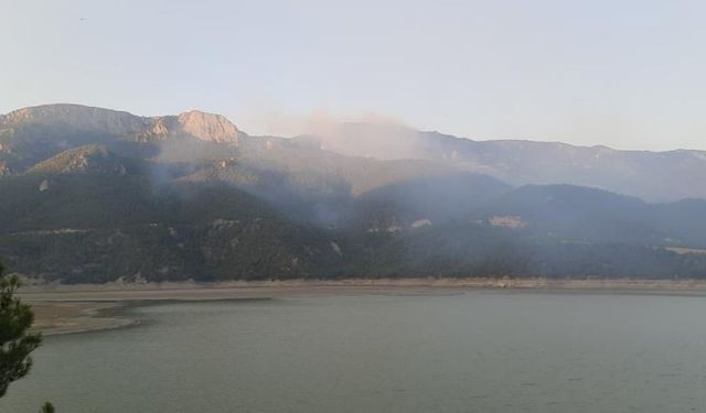 Sinop’taki orman yangınına karadan ve denizden müdahale ediliyor
