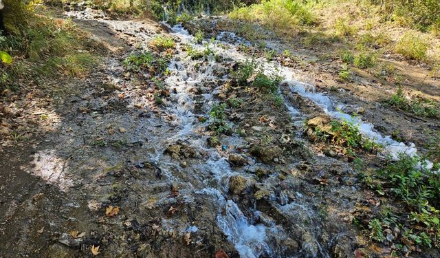 Balıkesir'deki deprem su kaynaklarının yerini değiştirdi!