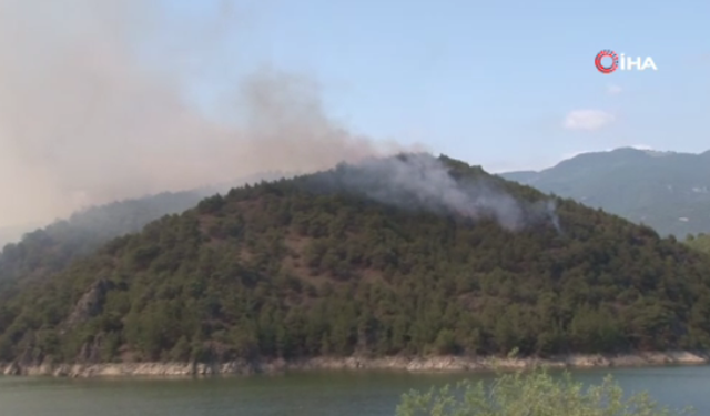 Tokat’taki orman yangını kontrol altına alınmaya çalışılıyor