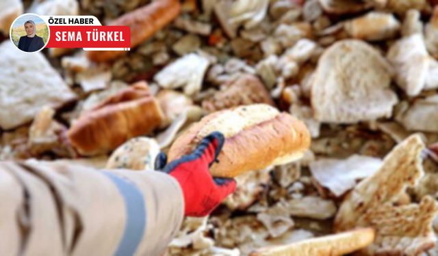 Türkiye'de her gün milyonlarca ekmek çöpe gidiyor!
