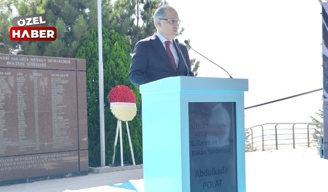 Bakan Yardımcısı Polat: 169 şehitlik ve 6 bine yakın kayıp kahramanımızın izine ulaştık