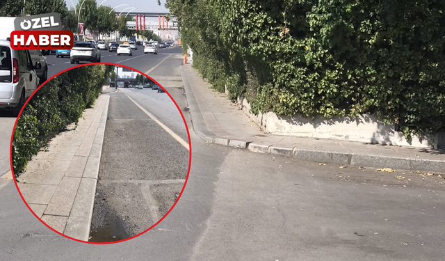 Ankara'da tepki çeken kaldırım!