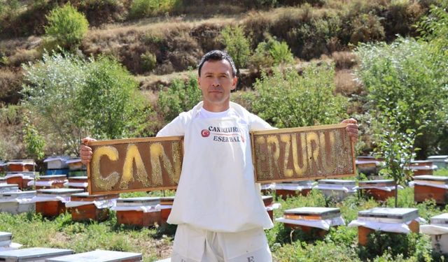 Arılarına eğitim verdi: Bal arıları yazı yazdı!