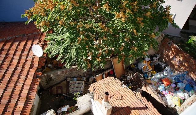 Çöp evdeki fareler ve sıçanlar sokaklara taştı!