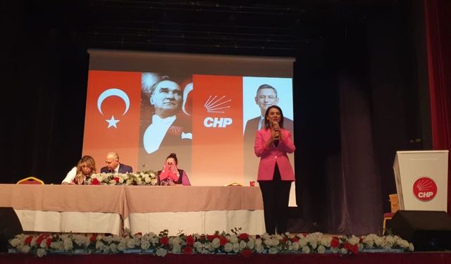CHP Ankara Milletvekili Taşcıer: Partimizi iktidara taşıyacağız