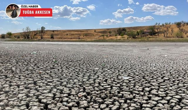 Ankara’da kuraklığın acı tablosu: Kızılca Göleti tamamen kurudu