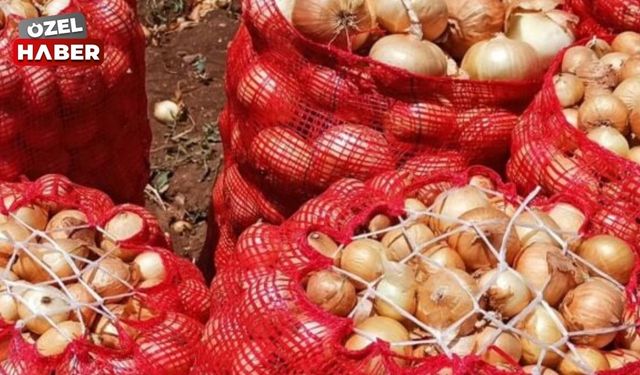 Polatlı’da soğan çuvalı satışları hız kazandı