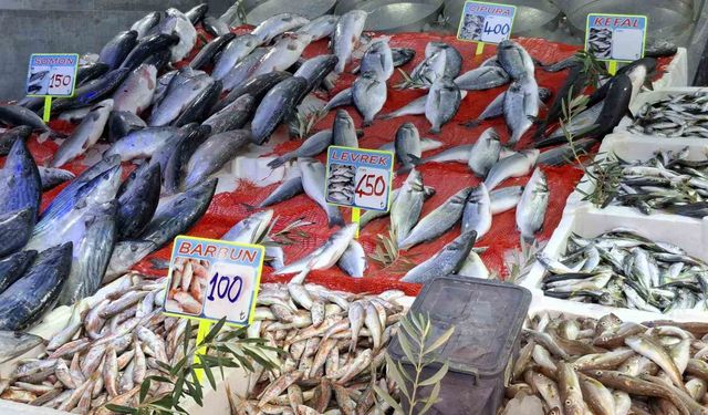 Samsun'da balık tezgahları hareketlendi
