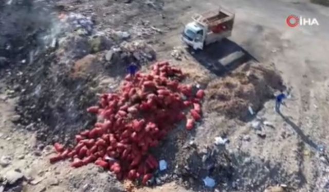 Tonlarca soğan araziye döküldü: Vatandaşlar eve götürdü