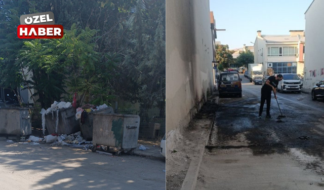 Vatandaşlar, "Alınmayan çöpler yangına neden oldu" diyerek isyan etti!