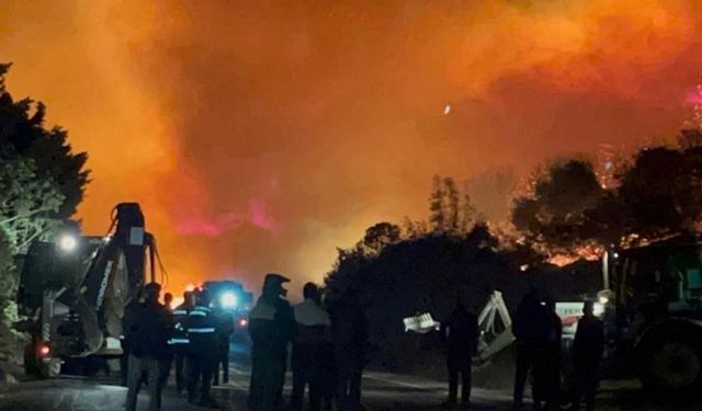 Rüzgarınn etkisiyle büyüyen orman yangını kontrol altına alındı