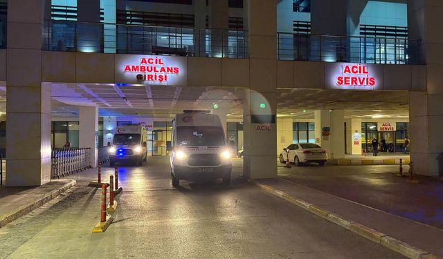 Oğlunun baltalı saldırısına uğrayan anne, hayatını kaybetti!