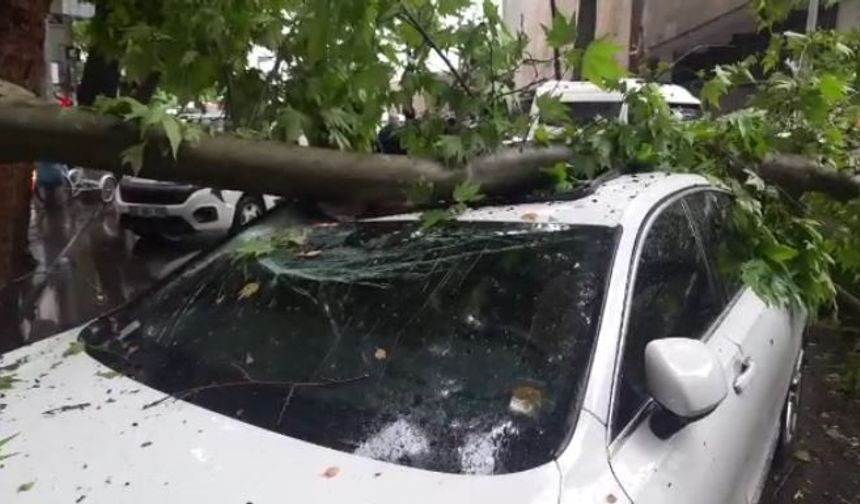 Ankara’da 3 aracın üzerine ağaç devrildi