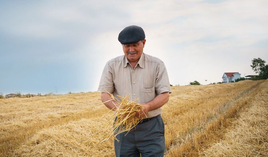 Çiftçiye destekleme parası bugün ödeniyor