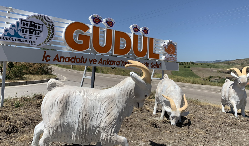 Güdül’de, Ankara Keçisi Üretim Merkezi İçin Toplantı Düzenlendi!