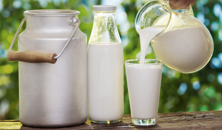Süt satışlarında artış! Mart ayı rakamları açıklandı