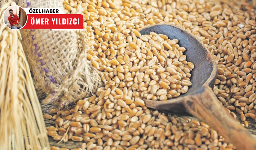 Polatlı Ticaret Borsası'nda Buğday ve Arpa Fiyatları Yükselişte