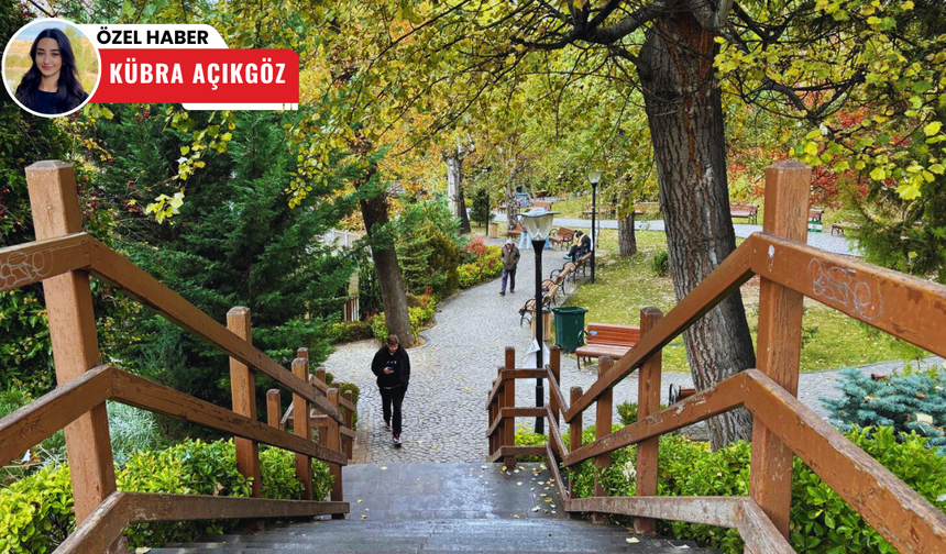 Kuğulu Park sonbaharın renklerine boyandı