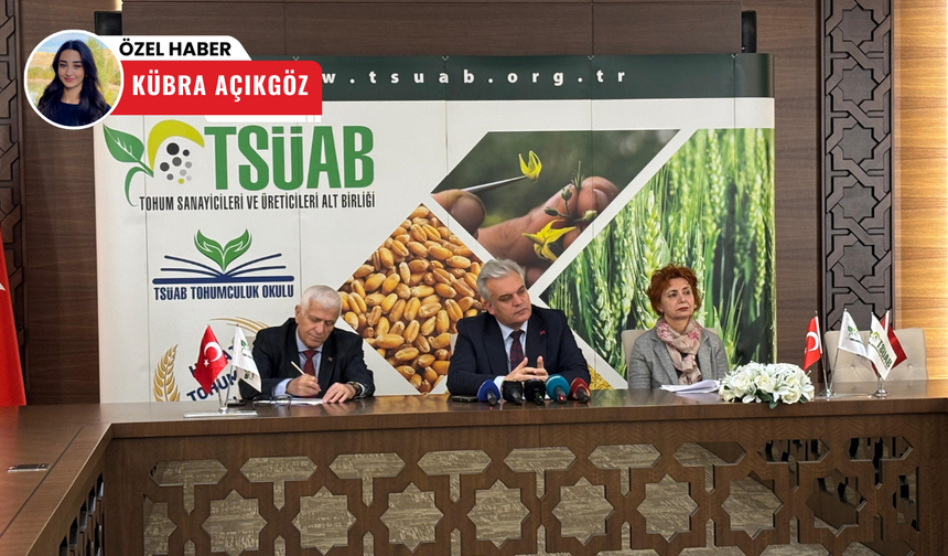 Tohumculukta büyük başarı: Türkiye’nin ihracatı 338 milyon dolara ulaştı