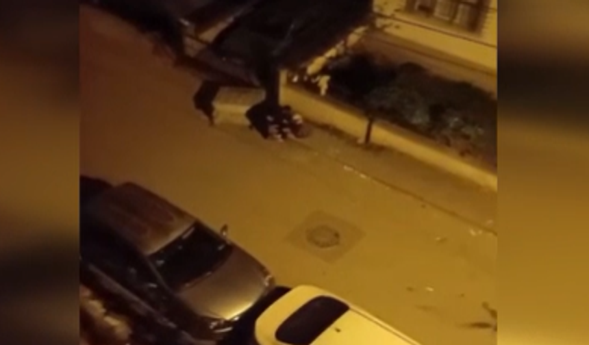 Sincan'da çöp konteyneri kadının üzerine devrildi