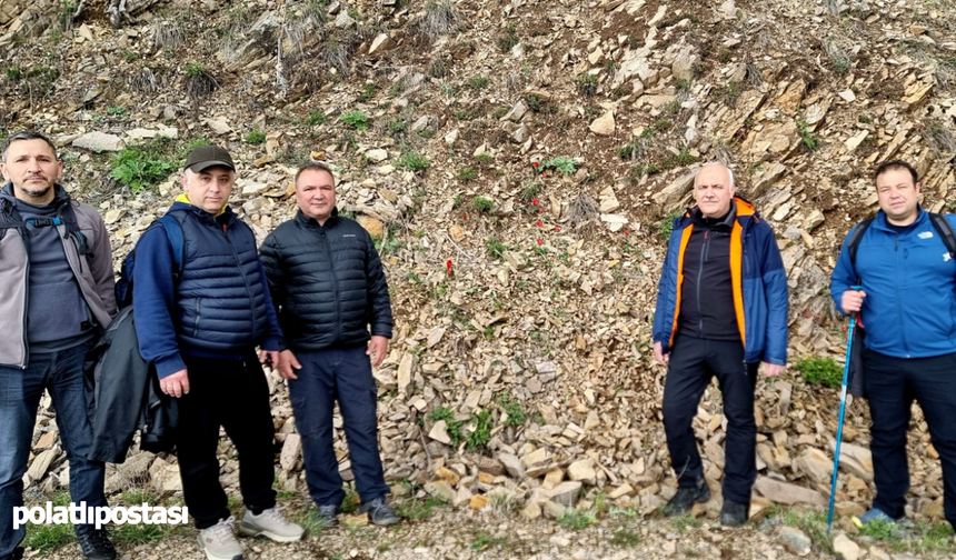 Kızılcahamam Soğuksu Milli Parkı’nda baharın müjdecisi dağ laleleri yeniden toprağa selam verdi
