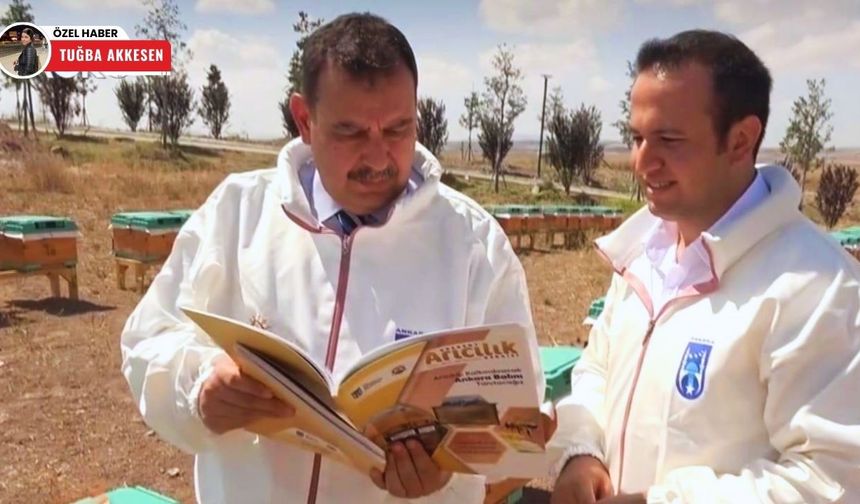 Türkiye’de yerel yönetimlerden bir ilk: Başkent Arıcılık Dergisi