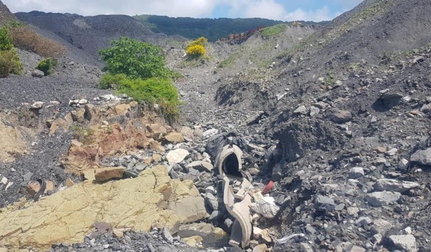 Bakanlıktan Amasra'da denizi kirleten kömür ocağına suç duyurusu