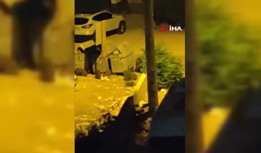 Ankara'da, domuz sürüsü şehir merkezine indi!