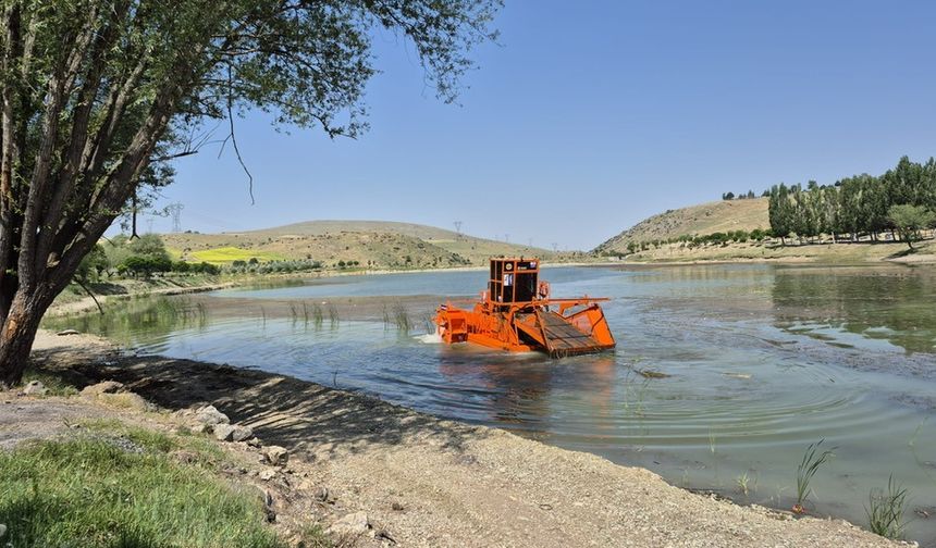 Ayaş Belediyesi ve ABB iş birliğiyle Kirazdibi Göleti’nde temizlik seferberliği