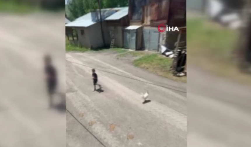 Horozdan kaçan minik Ömer Arda sosyal medyayı salladı
