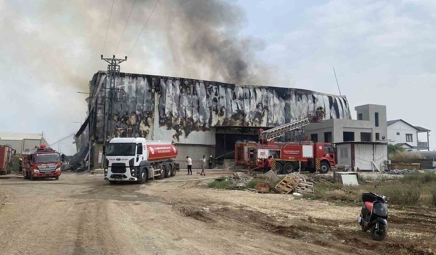 Pamuk fabrikası deposunda yangın! Çok sayıda ekip müdahale ediyor