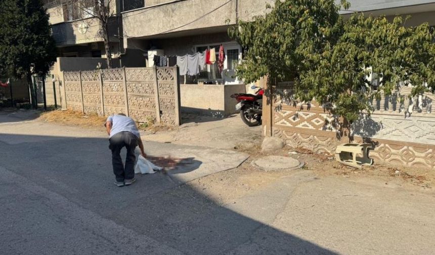 Babasını pompalı tüfekle öldüren genç tutuklandı