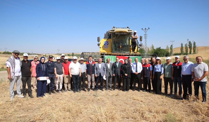 Nohut tarlasında bayram! Akyurt’ta hasat coşkusu