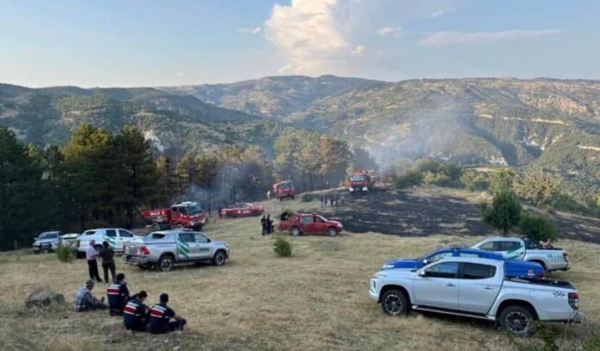 Beypazarı'nda, 15 dönümlük ekili alan kül oldu!
