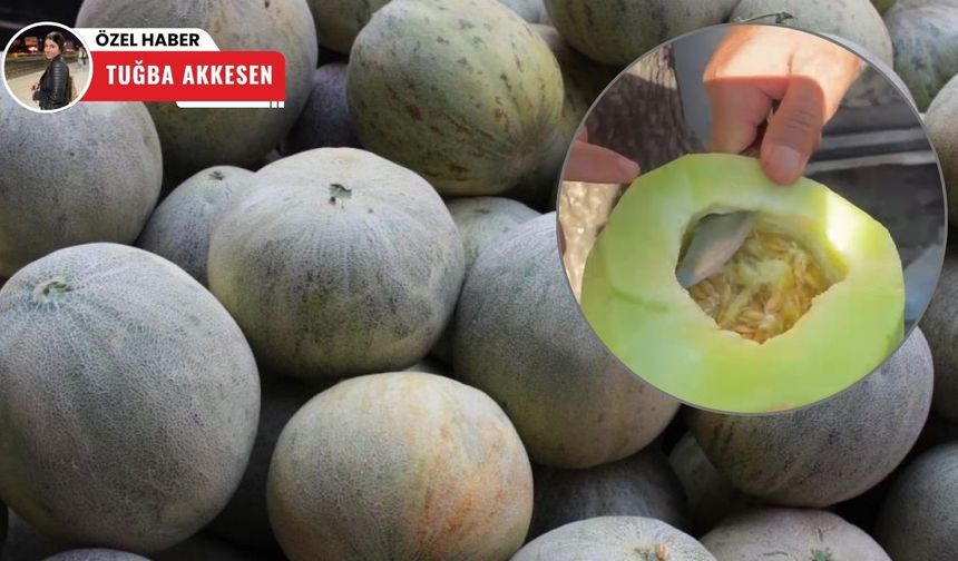 Siirt’in meşhur ‘Cefan Kavunu’ gazetecilerden tam not aldı