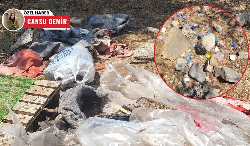Alparslan Türkeş Hatıra Ormanı bakımsız kaldı