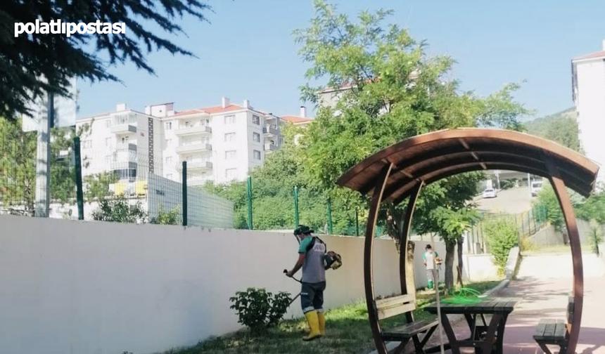Kızılcahamam'da yeşil seferberlik