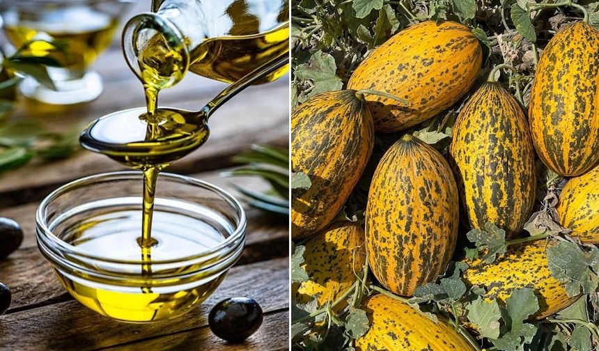 Mut Zeytinyağı ve Kırkağaç Kavunu'na AB tescili
