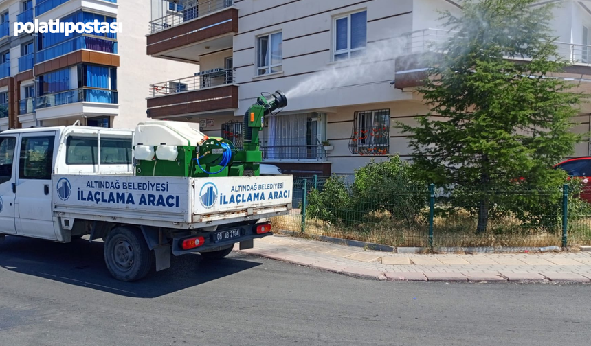 Altındağ sakinleri dikkat! Sinek ve böcek sorunu için artık bu numaraları arayabilirsiniz