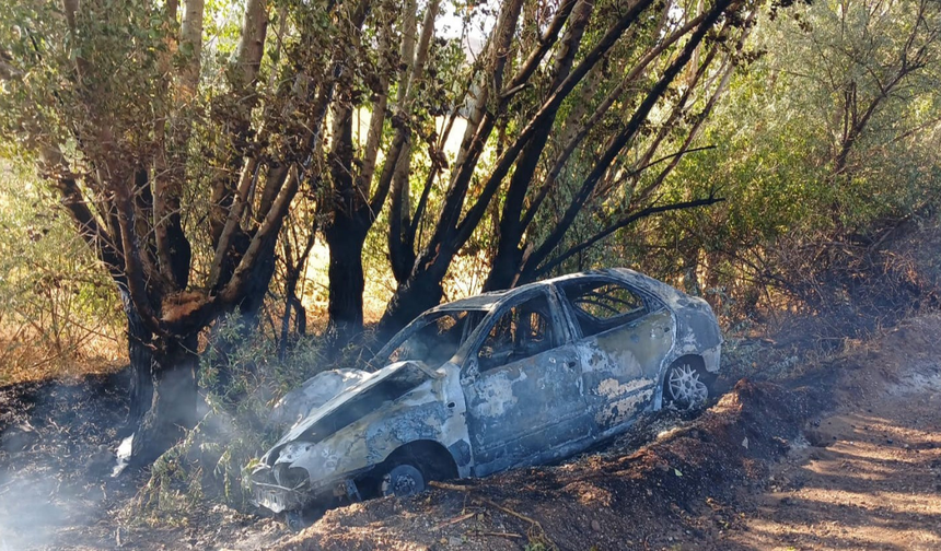 Ankara'da feci kaza! Ağaca çarpan otomobil alev aldı