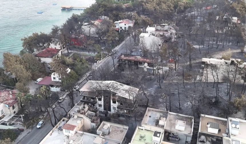 Çanakkale’deki yangının acı bilançosu sabah saatlerinde görüntülendi
