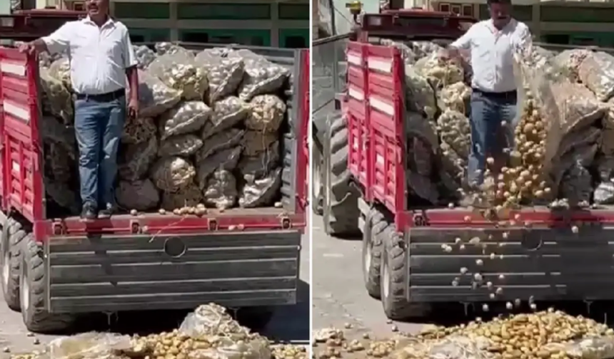 CHP’li başkandan patates eylemi: Bakanlıktan harekete geçti