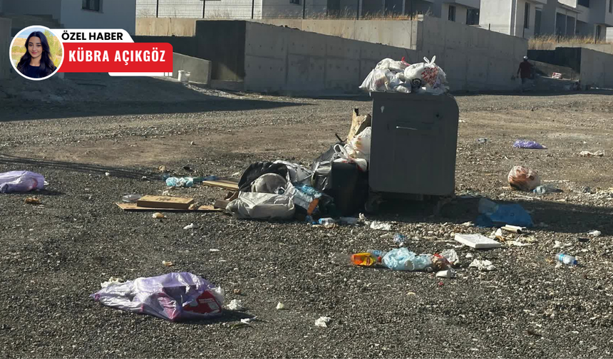 Haftada bir toplanan çöp, mahalleliyi çileden çıkardı!