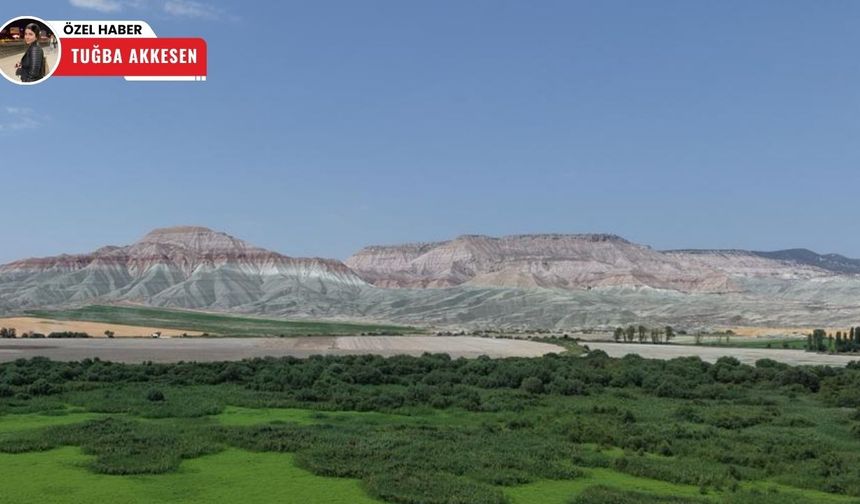 Nallıhan’daki Kız Tepesi Tabiat Anıtı doğaseverleri büyülüyor