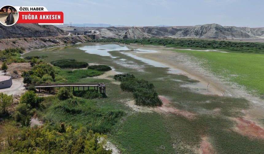 Nallıhan Kuş Cenneti, kuraklık riskiyle karşı karşıya